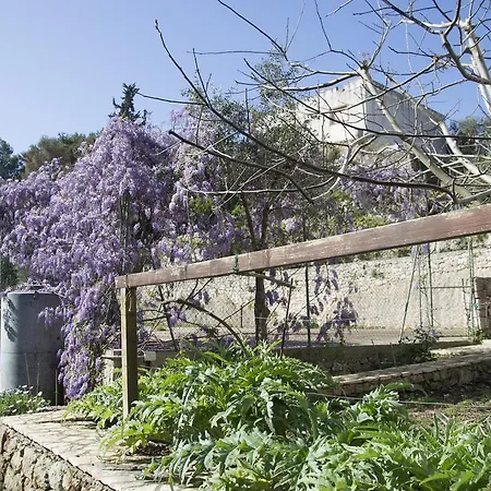 A Casa Di Elena 3*